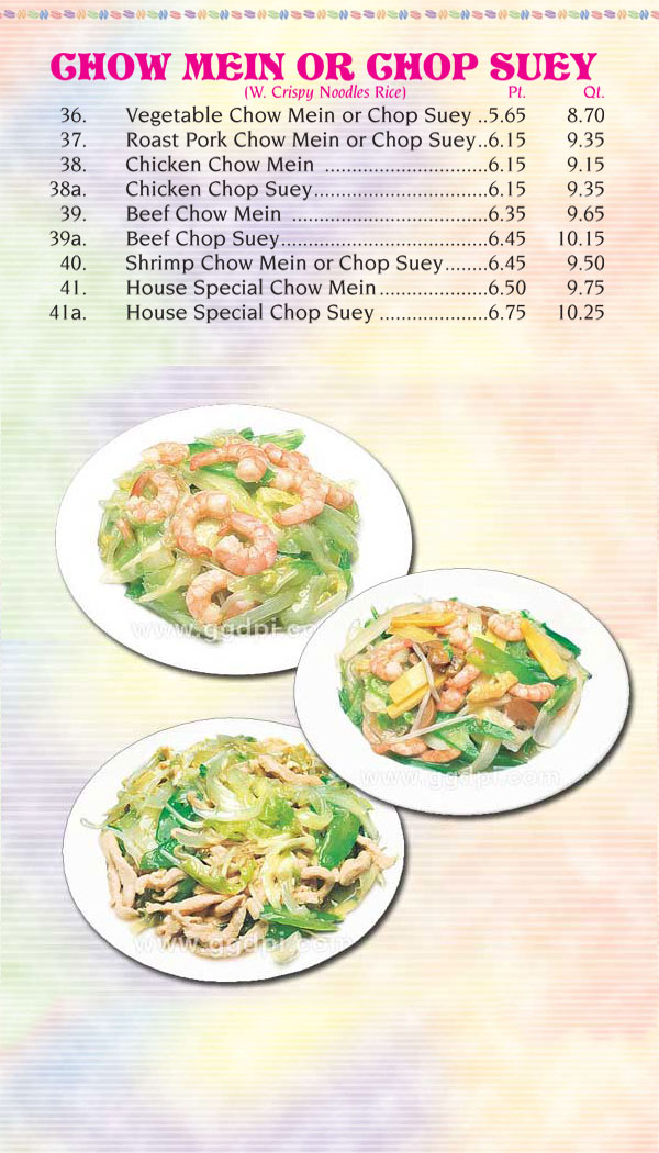 Chow Mein or Chop Suey